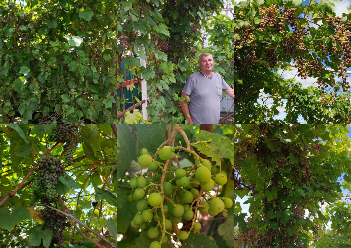 Михаил Васильевич Спащук: 7 лет за рулем доброты!